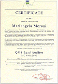 ISO 9000 auditor